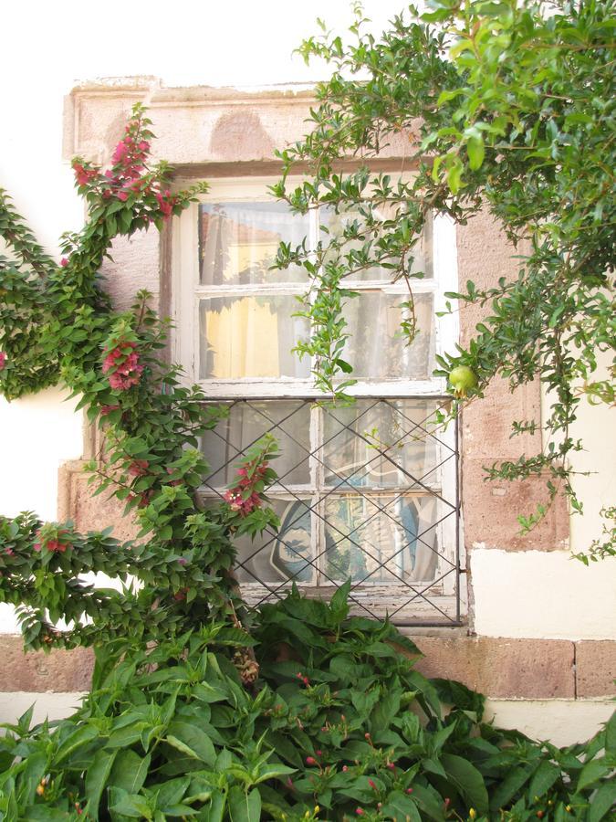 Eolos House Cunda Ayvalı Exteriér fotografie